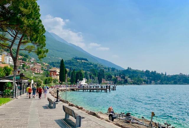 Gabbiano Malcesine